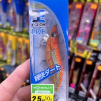 yamashita egi oh live neonbright grenn 2.5 nbg