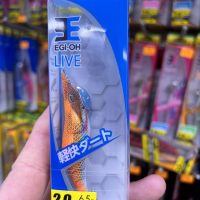 yamashita egi oh live 2.0 rainbow 028