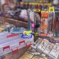 Pack 5 egis 3.5 caja + accesorios