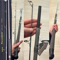 caña shimano forcemaster AX Catfish Static 2,80mt 350gr siluro